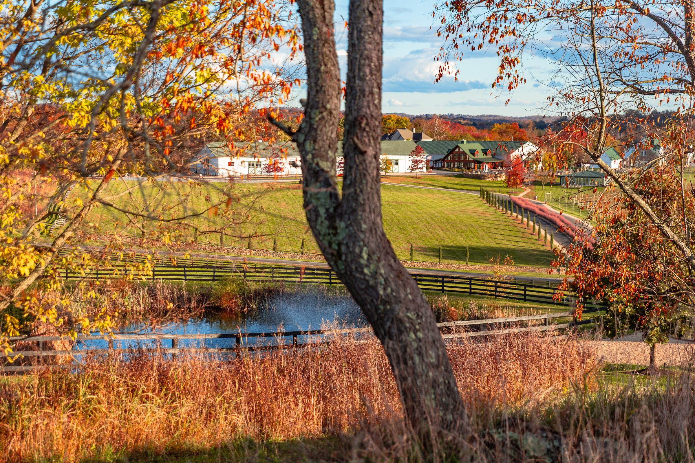 Wedding at Tranquility Farm